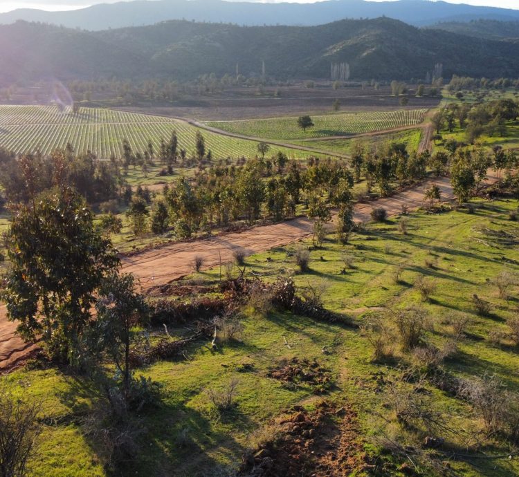 dji_export_1656882032535[1]