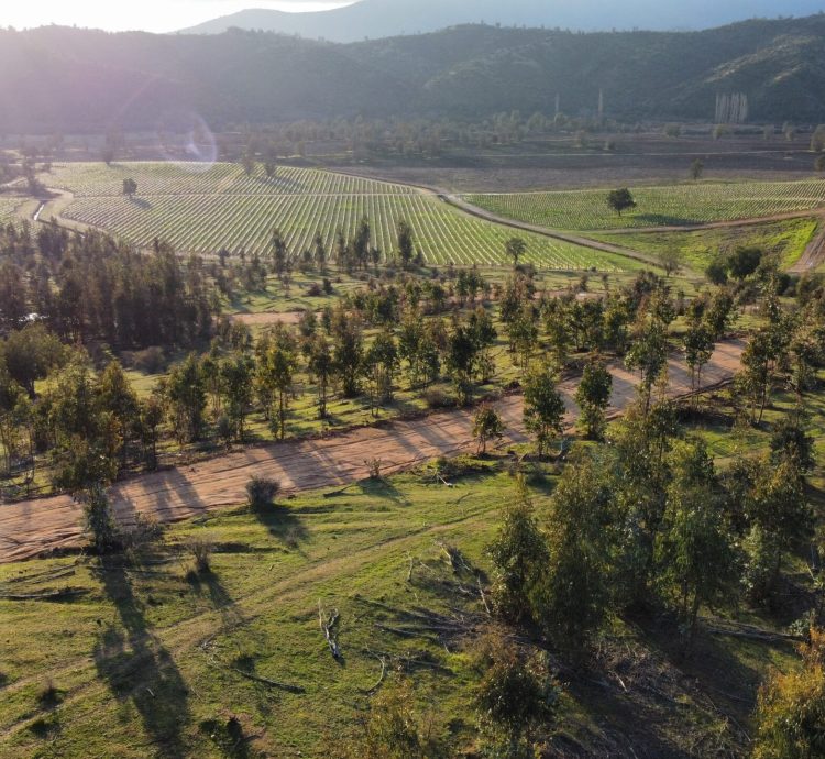 dji_export_1656882040981[1]