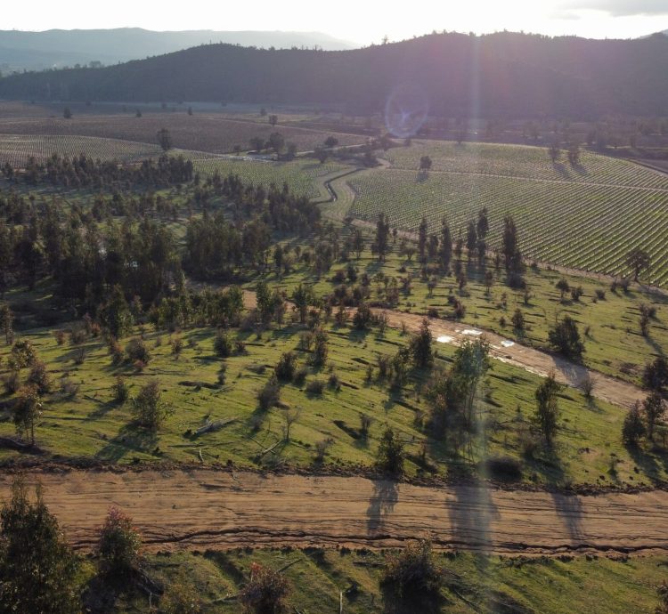 dji_export_1656882118724[1]